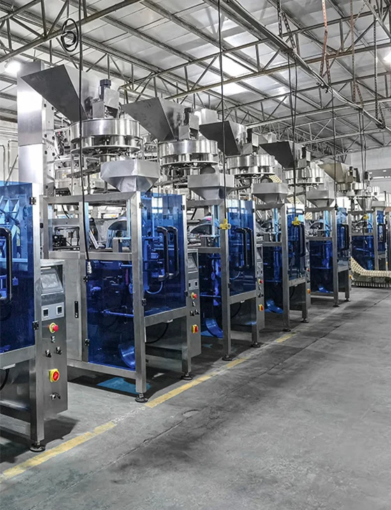 Packaging equipment and stainless steel frames in an assembly workshop